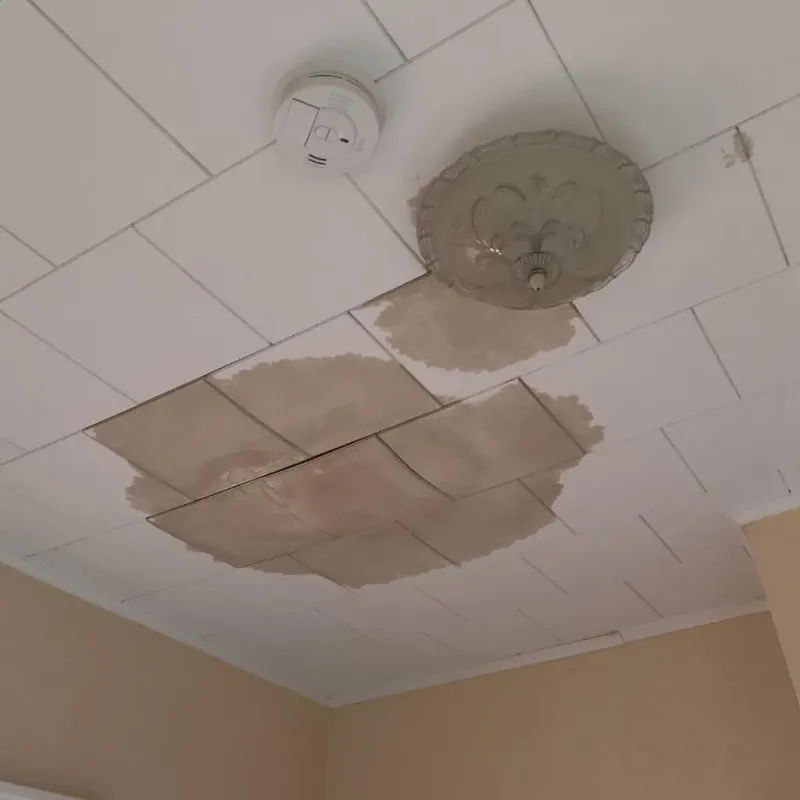 Ceiling Water Damage Repair in Goshen, OH