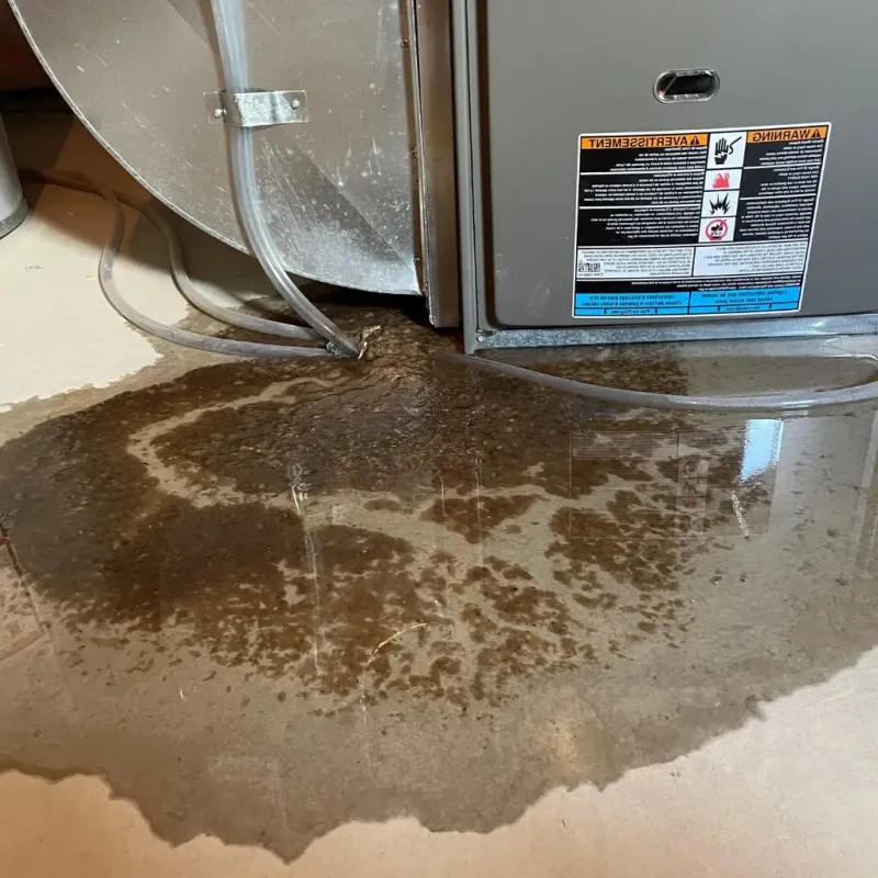 Pipe Burst and Leak Restoration in Goshen, OH