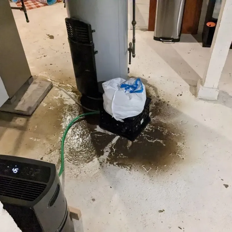 Sewage Backup Cleanup Service in Goshen, OH